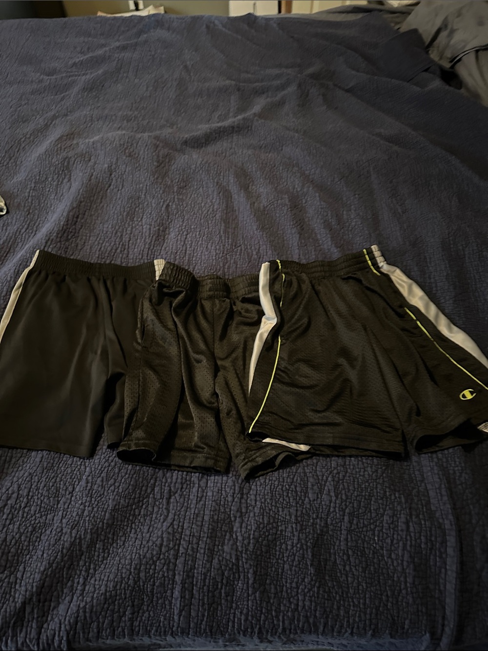 Champion boys Black Athletic Shorts - Mesh & Performance Styles
